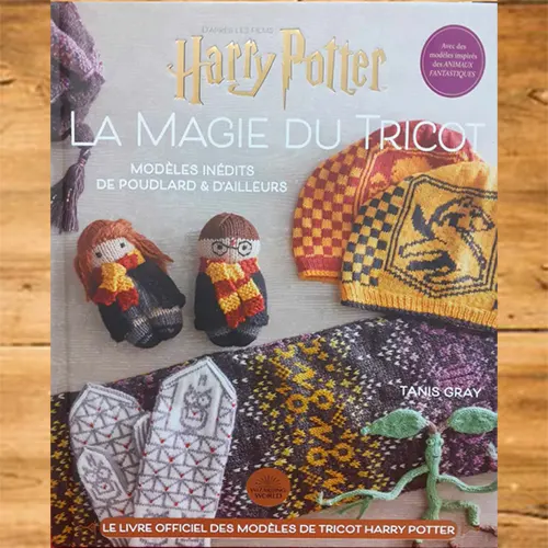 HARRY POTTER volume 2 - Pic et Coud Buchy