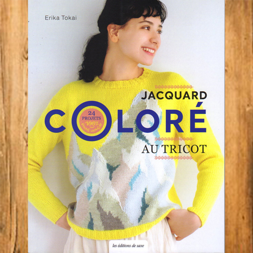 Jacquard Coloré au Tricot